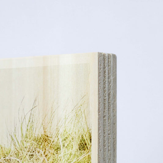 meeresbrise Woodframes